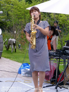 Mieko(CHEEK COLOR)(#164)